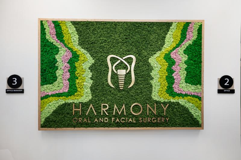The image features a promotional display with text and graphics, including a sign for Harmony Dental and Facial Surgery, set against a backdrop of artificial greenery with a colorful design that includes geometric shapes resembling flowers and leaves.